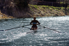 A rower on the canal (c) Scottish Canals
