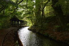Canal feeder in Almondell Country Park (c) Laura Perry